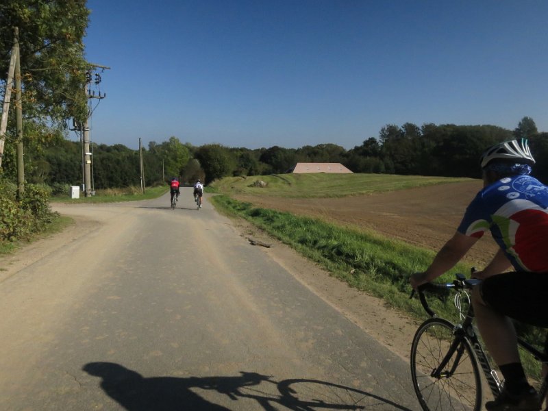 RTF Almabtrieb 230